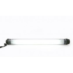 Inspection Light