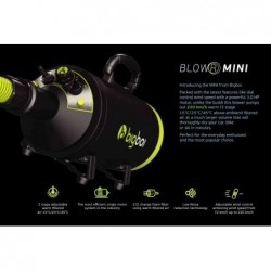 Bigboi Blow MINI
