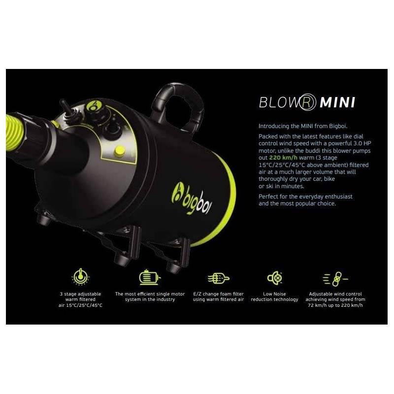 Bigboi Blow MINI